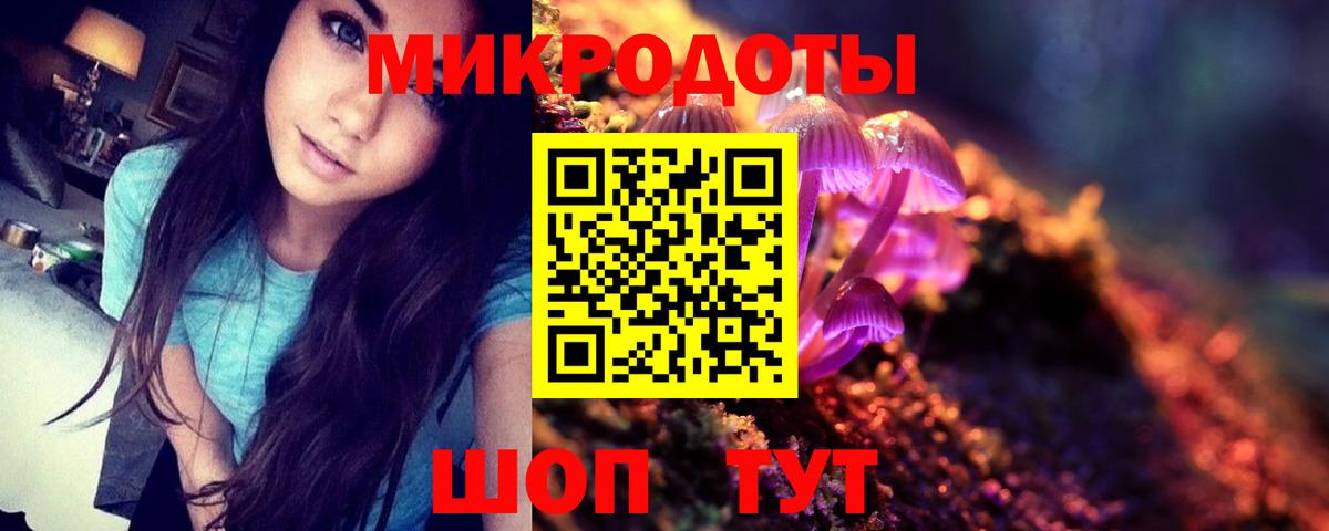 Карачаевск  Псилоцибиновые грибы Magic Shrooms  что такое наркотик  Вход с VPN 